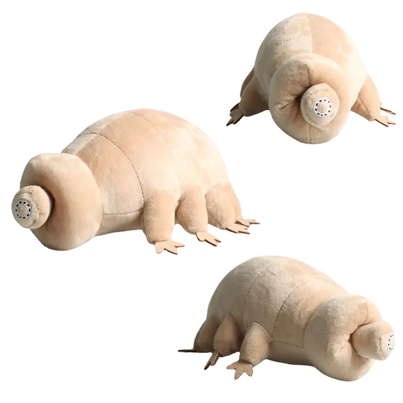 25cm niedźwiedź wodny Tardigra – Kids Education Movies recenzja i cena