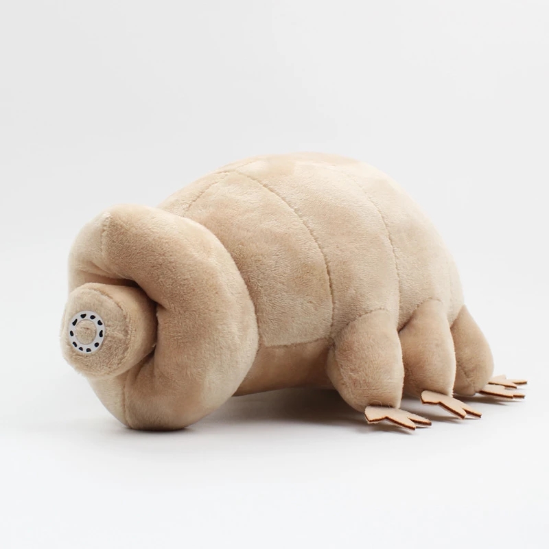 25cm niedźwiedź wodny Tardigra – Kids Education Movies recenzja i cena