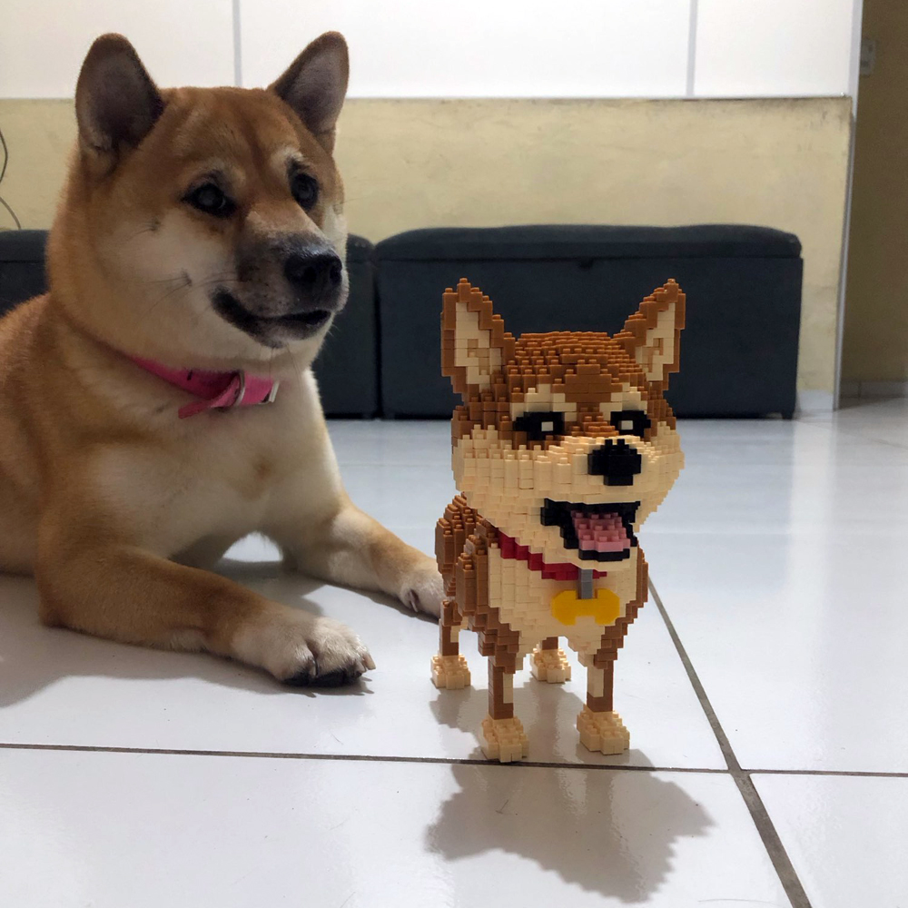 KNEW BUILT Shiba Inu Dogs Mode – Kids Education Recreation recenzja i cena