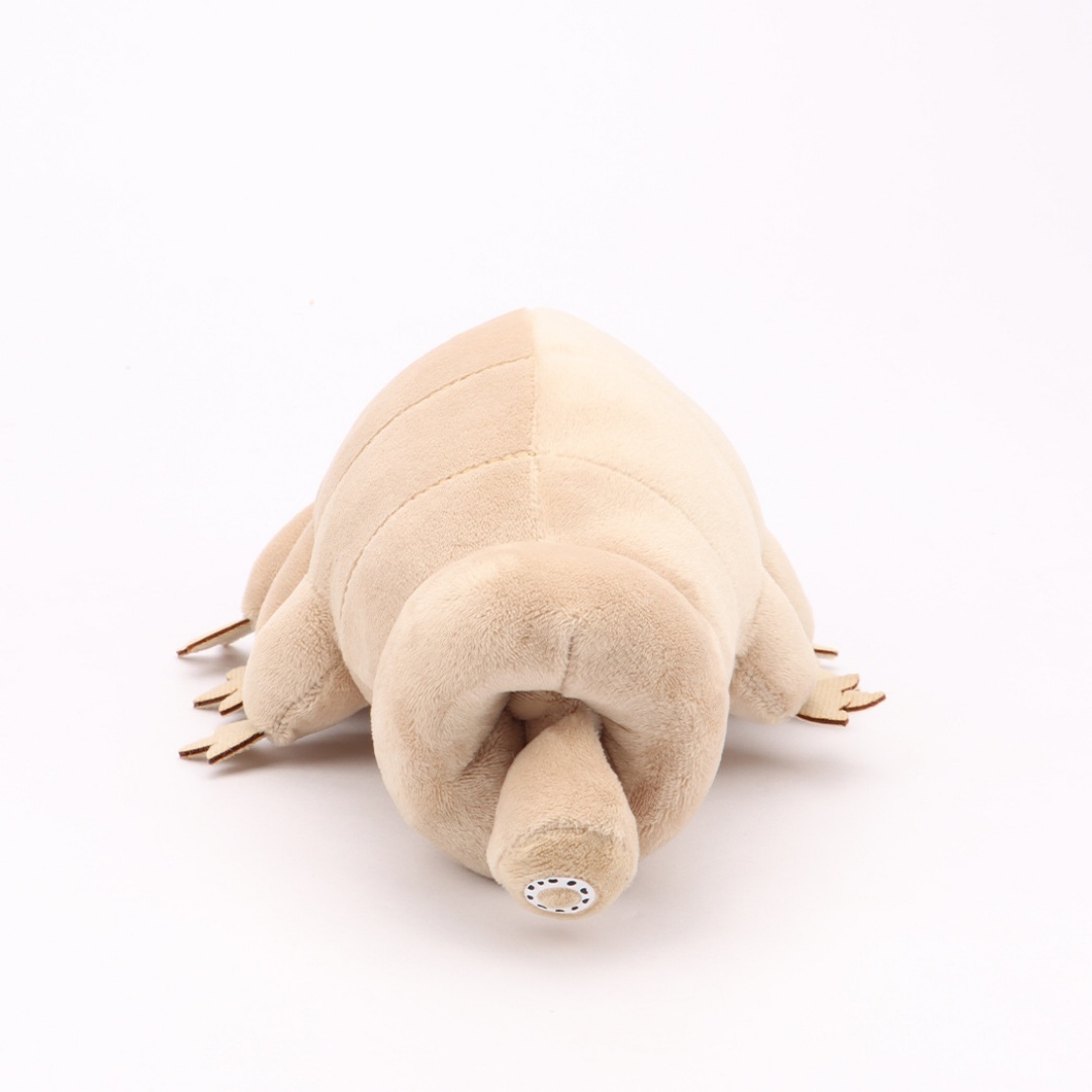 Pluszowa zabawka Tardigrada, m – Kids Education Movies recenzja i cena